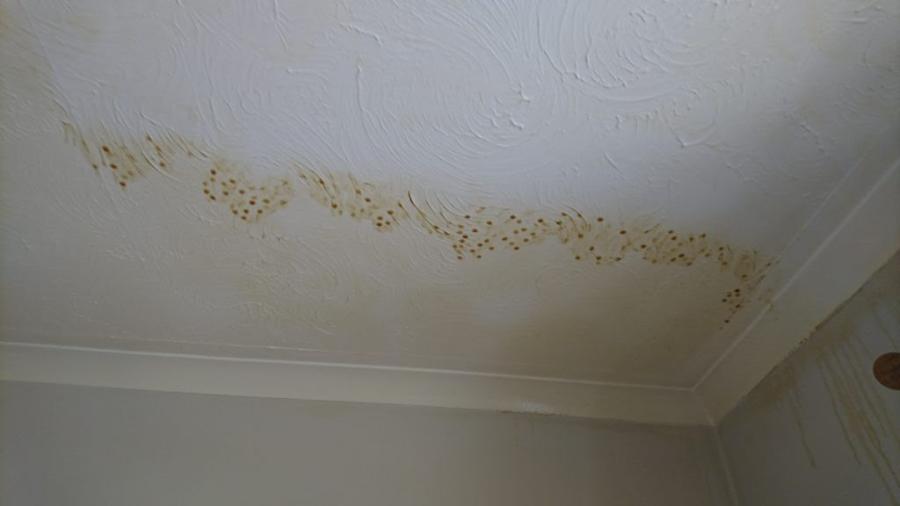 Why Is My Ceiling Leaking Brown Water