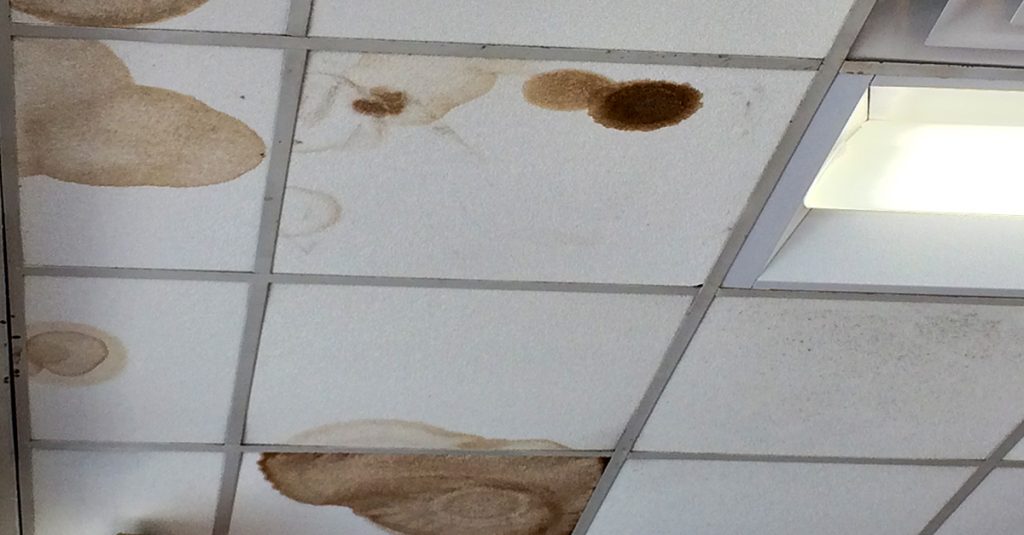 Mold In Ceiling From Leaky Roof