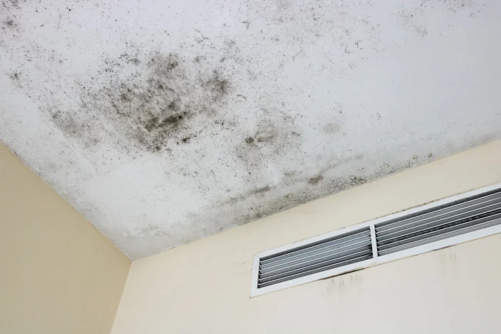 Why Do I Have Mold On My Ceiling