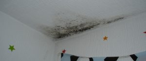 Black Spots On Ceiling In Bedroom: Causes, Identification, and Removal