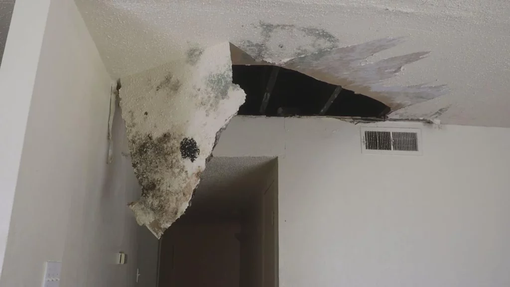Ceiling Caved In Water Damage