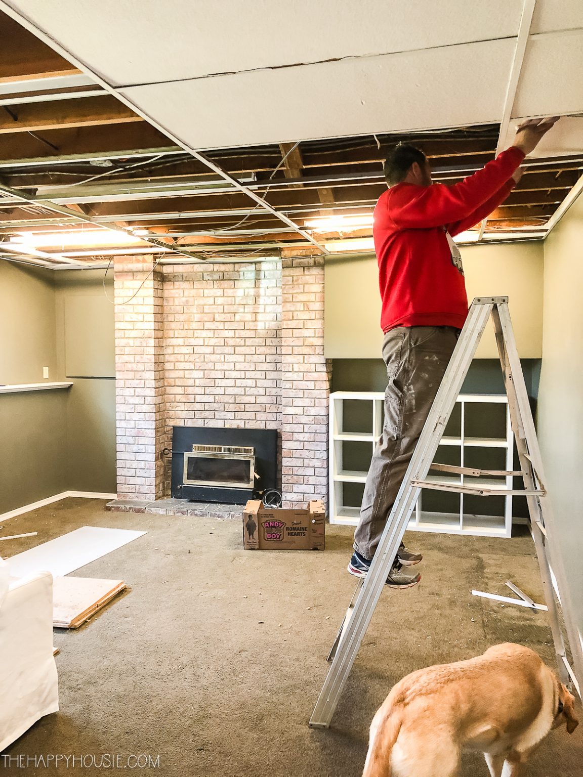 Revitalize Your Space: The Ultimate Guide to Removing Drop Ceiling in 