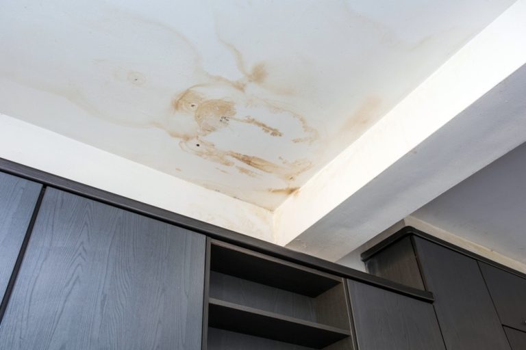 Unveiling the Mystery of Small Brown Spots on Ceiling Causes and Solutions