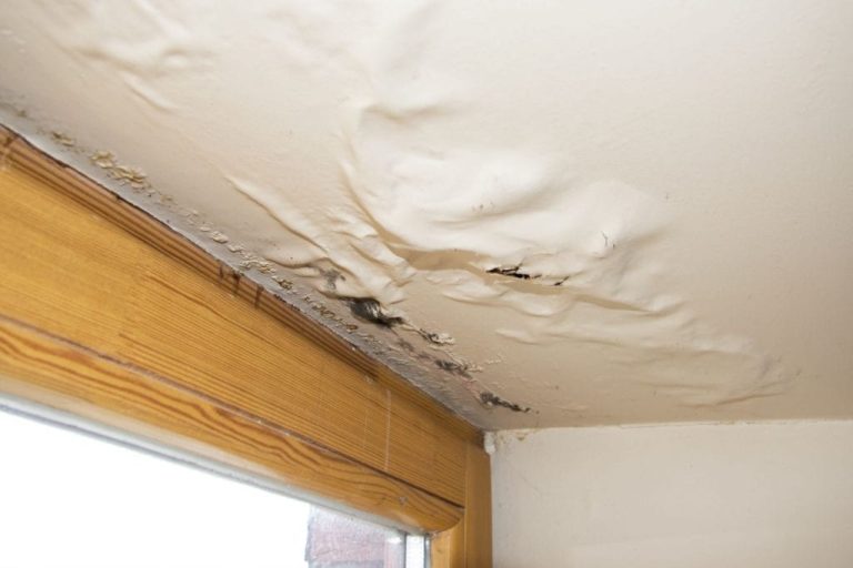 Water Leaking Through Ceiling After Bath Causes, Solutions, and Prevention