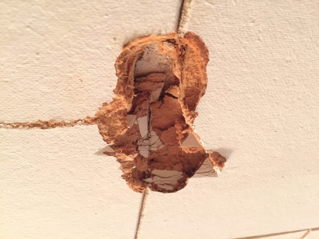 Canec Ceiling Removal
