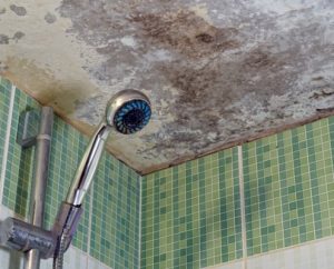 Is Bathroom Ceiling Mold Dangerous to Your Health and Home? Unveiling
