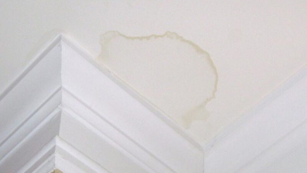 Roof Leak Ceiling Stain