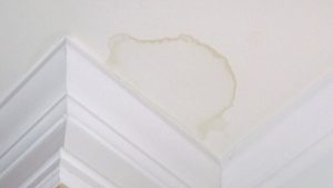 Understanding and Addressing Roof Leak Ceiling Stain Issues: Unveiling