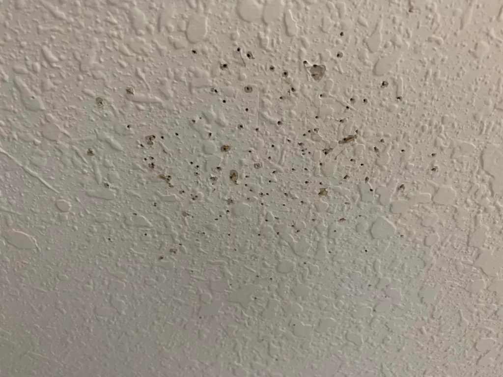 Tiny Holes In Ceiling