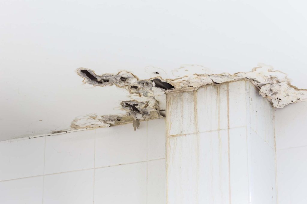 Types Of Ceiling Damage