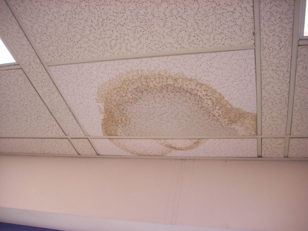 Wet Stain On Ceiling