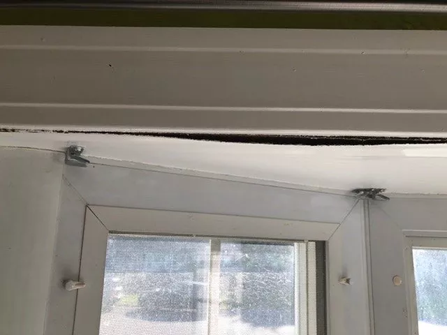 Bay Window Ceiling Leak
