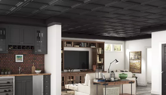 Mold Resistant Ceiling Tiles