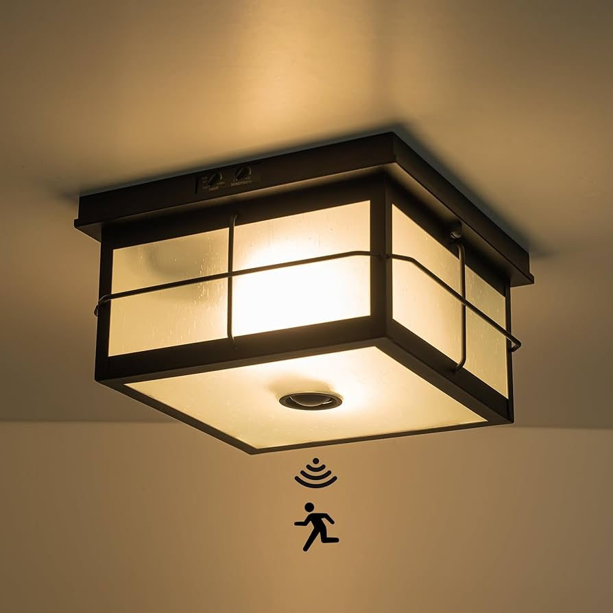 Outdoor Ceiling Mount Motion Sensor Light