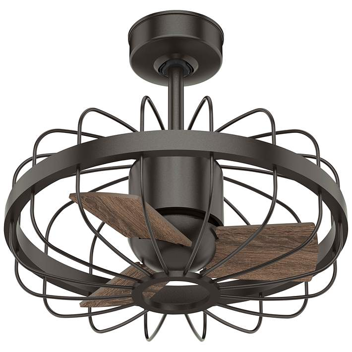 Hunter Caged Ceiling Fan