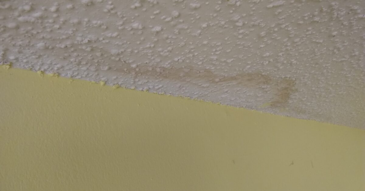 Water Damage Popcorn Ceiling