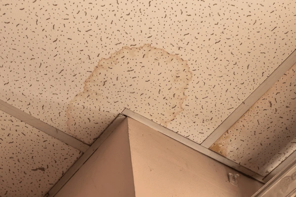 Water Damaged Ceiling Tiles