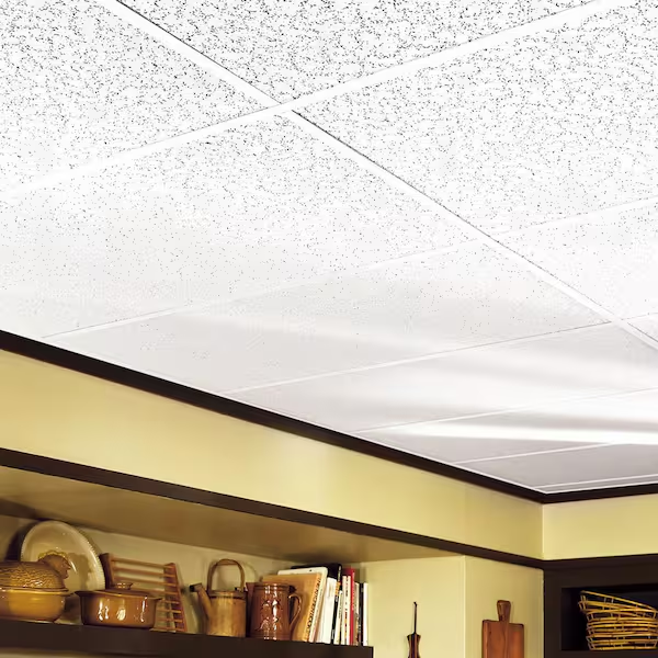 Drop Ceiling Tiles 24 X 48