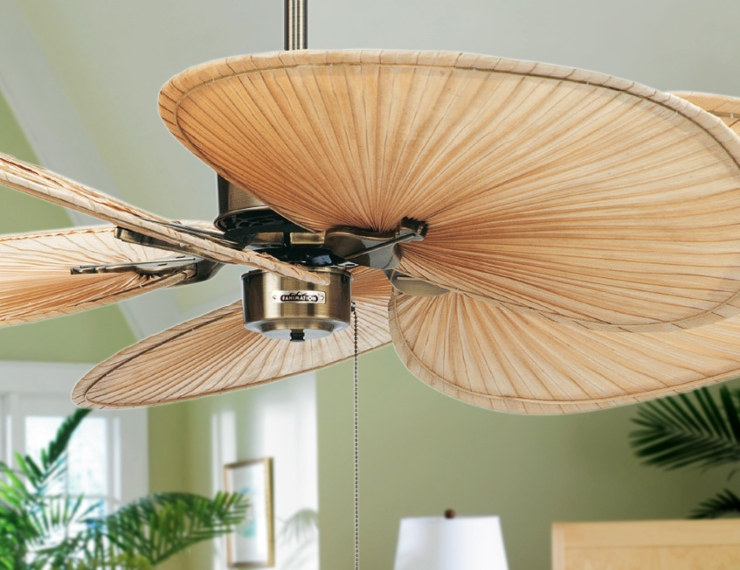 Coastal Ceiling Fans With Lights