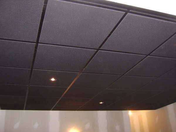 Painting Acoustic Ceiling Tiles