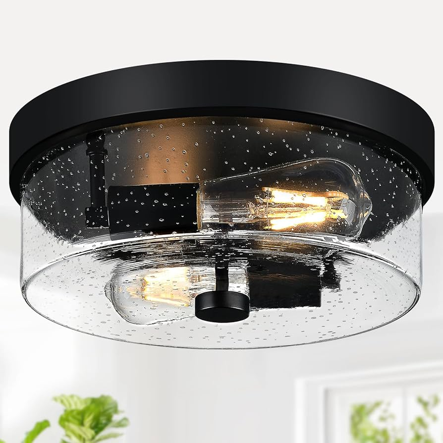 2-Light Flush-Mount Ceiling Light