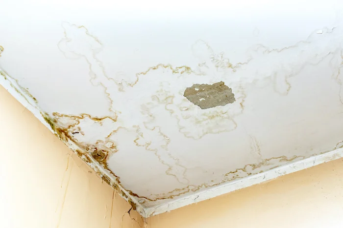 What Causes A Leak In The Ceiling