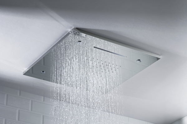 Delta Rain Shower Head Ceiling Mount