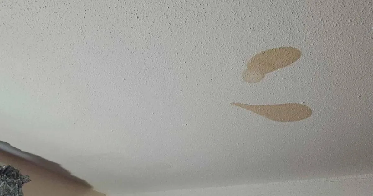 Brown Patch On Ceiling