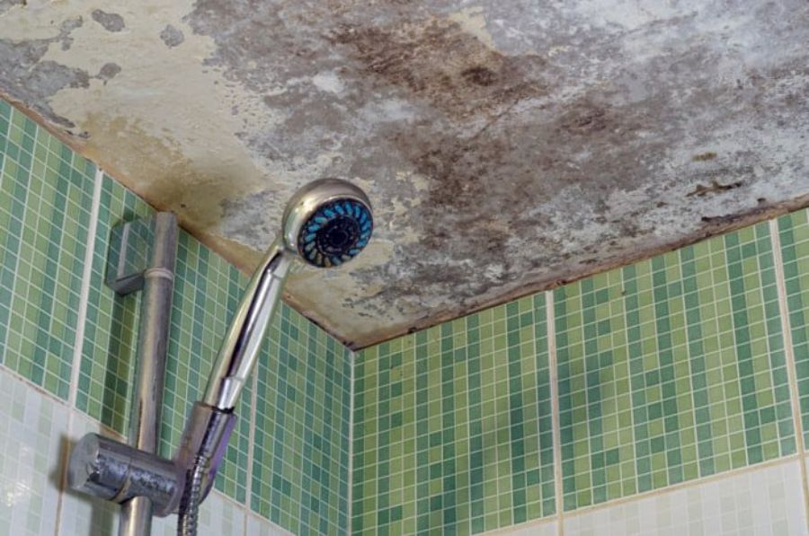 Prevent Mould In Bathroom Ceiling