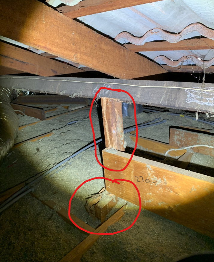 Termite Damage In Ceiling