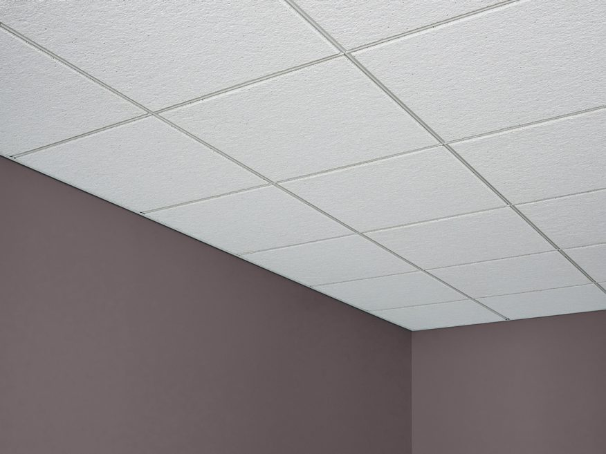 Beveled Edge Ceiling Tiles