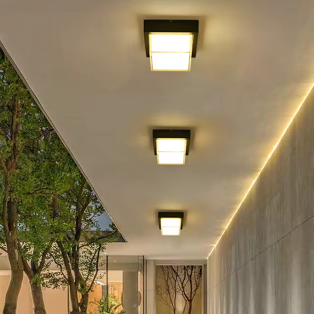 Unique Outdoor Ceiling Lights