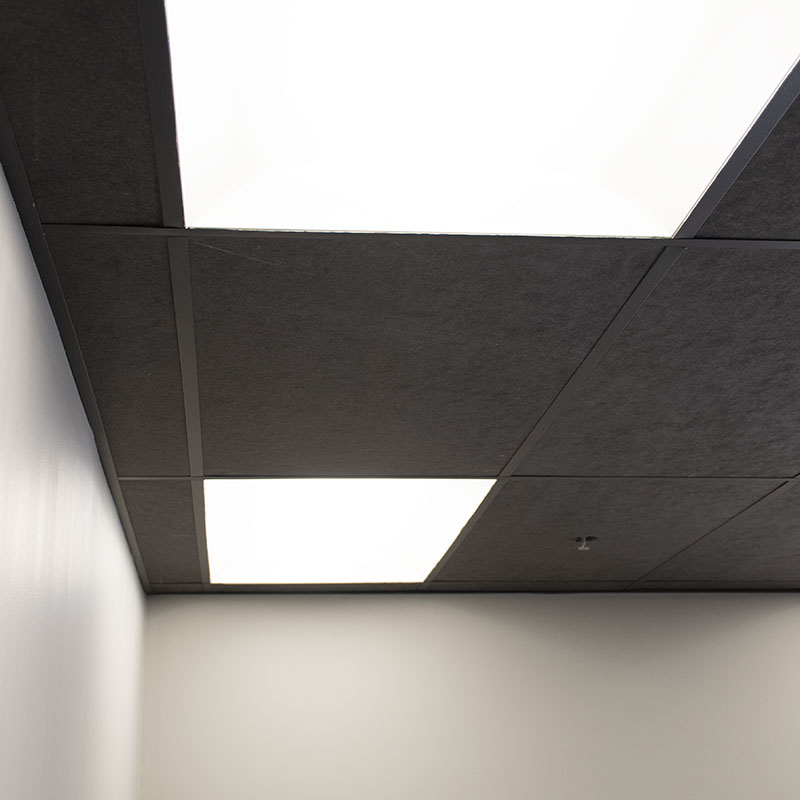 Drop Ceiling Black Grid