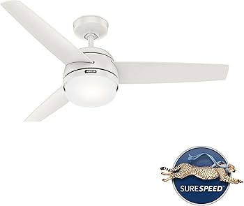 Hunter Midtown Ceiling Fan