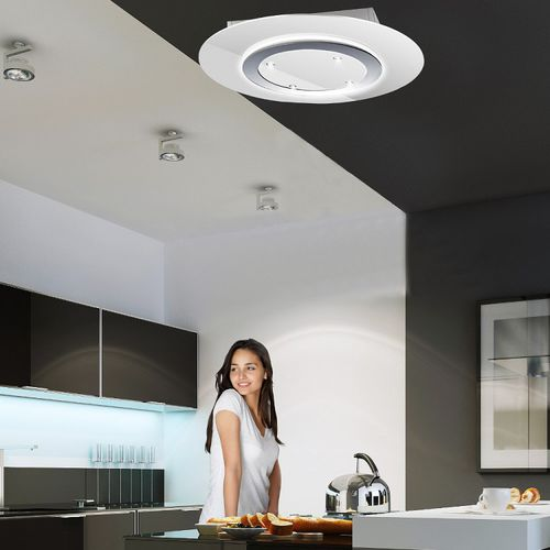 Ceiling Mounted Ductless Range Hood